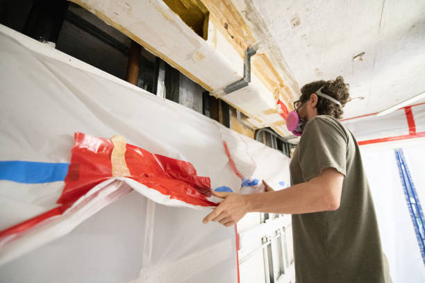 Best Post-Construction Mold Inspection  in Elephant Butte, NM