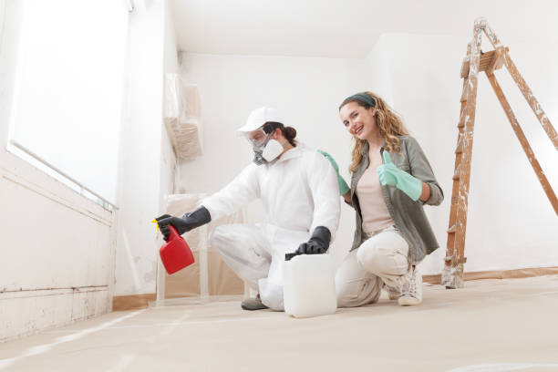 Best Industrial Mold Remediation  in Elephant Butte, NM
