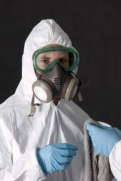 Best Mold Damage Restoration  in Elephant Butte, NM